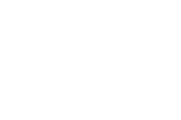 Carrís Hoteles