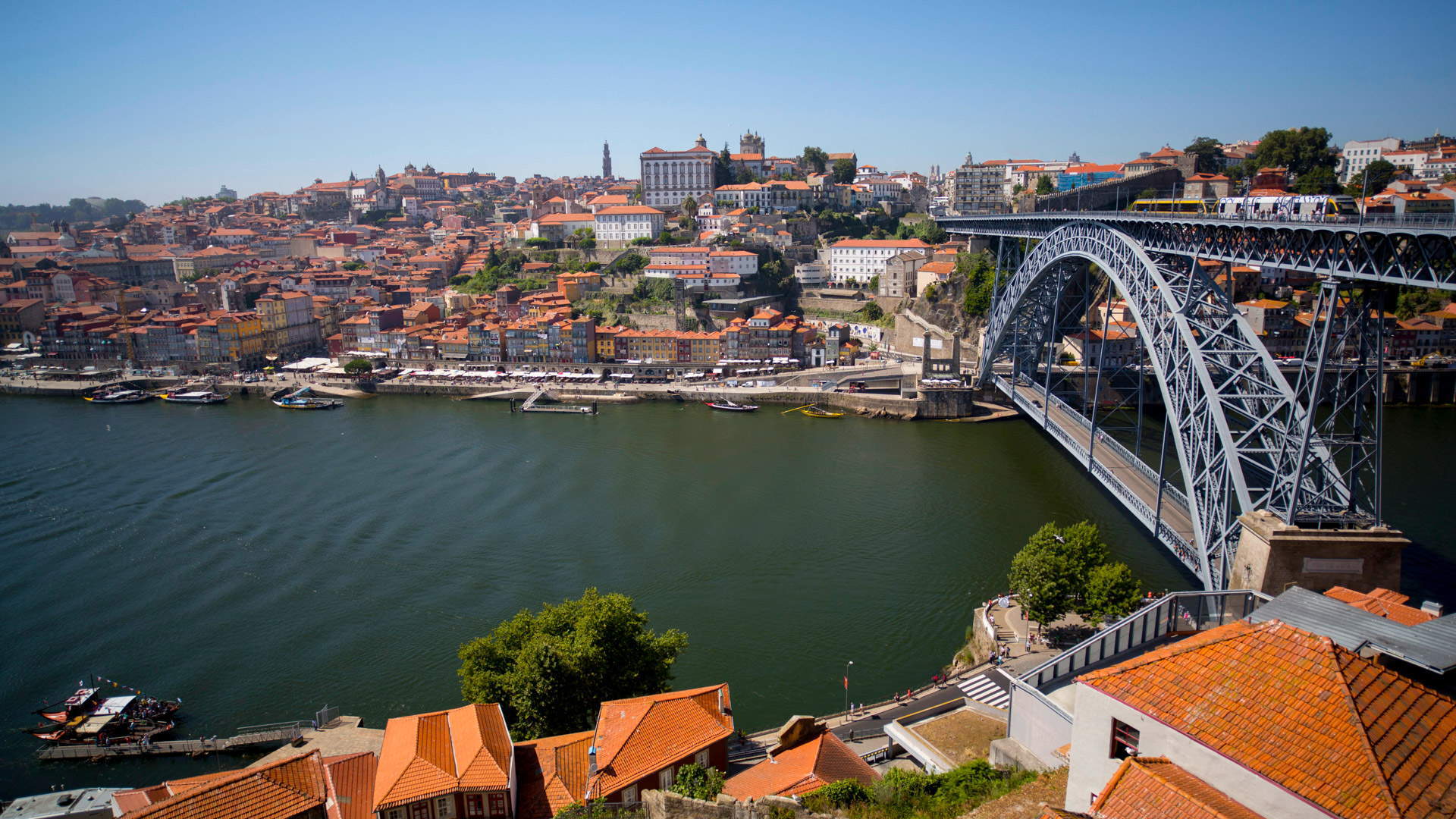 On the banks of the Douro