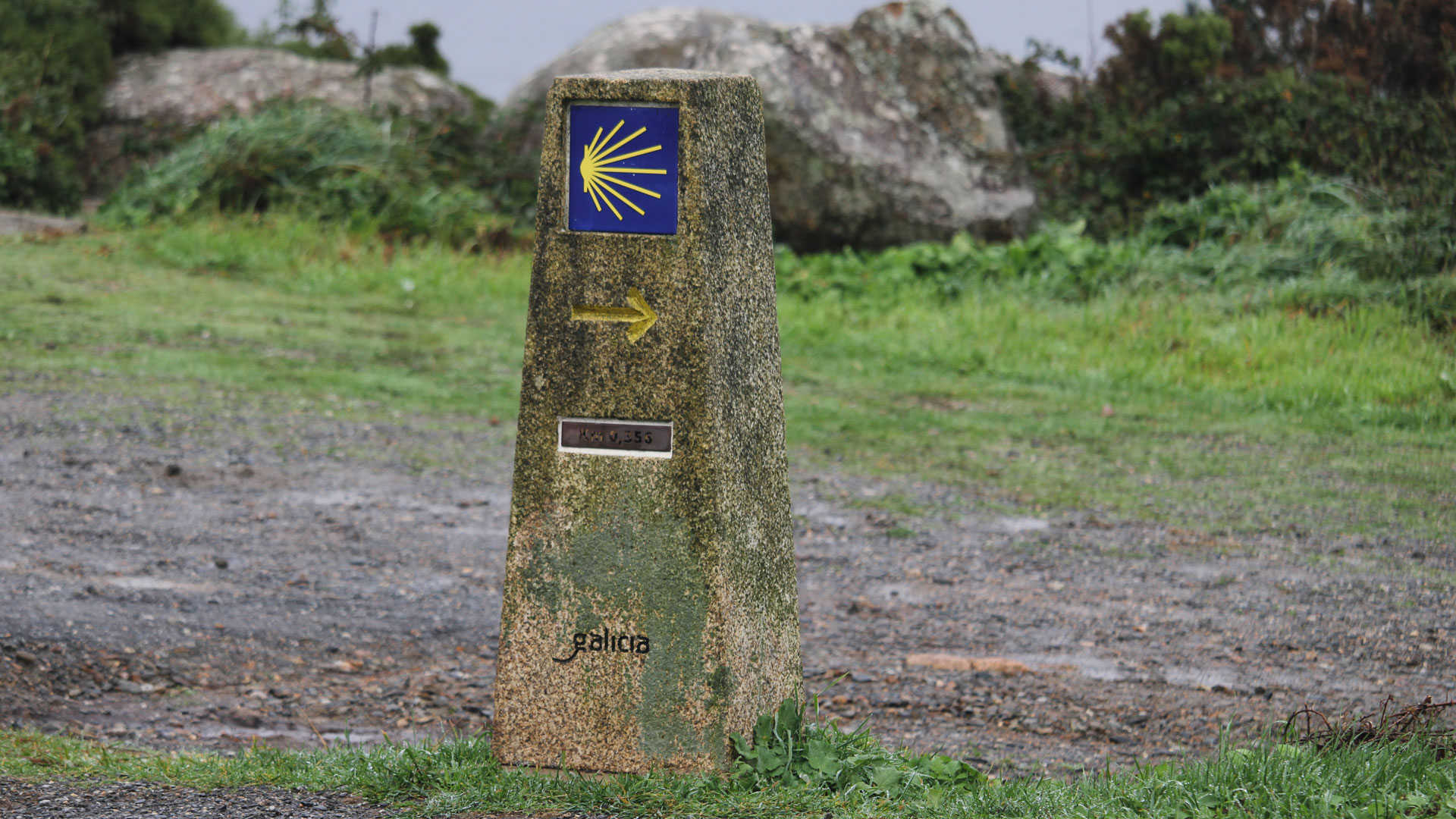 El Camino de Santiago