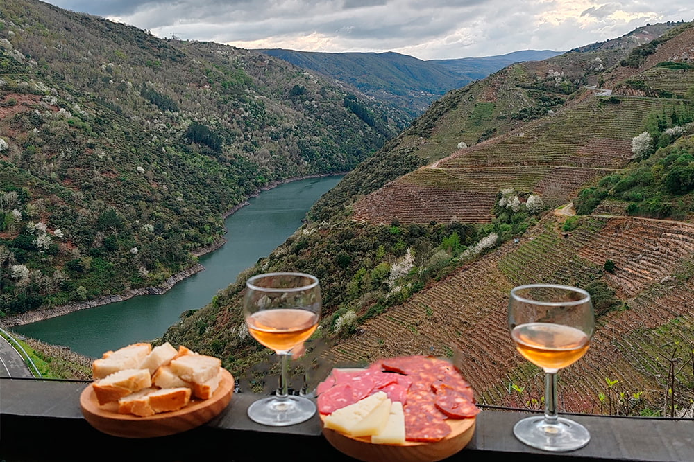 Cata-de-vinos-Ribeira-Sacra